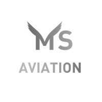 MS Aviation Group logo - Similar company to Nm Aviation Services