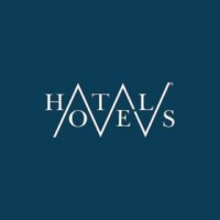 MVHOTELS logo - Similar company to Maldives.Com