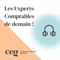 Les Experts-Comptables de demain 🎧 logo - Similar company to Ficheben