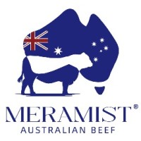Meramist Pty. Ltd. logo - Similar company to Flocon Engineering Pty Ltd