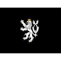 Dinheiro Mining Corporation logo - Similar company to Mining Brothers