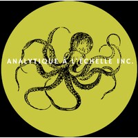 Analytique à l'échelle inc. logo - Similar company to Codex Consulting