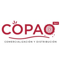 COPAO SpA logo - Similar company to Copao Technologies Pvt Ltd
