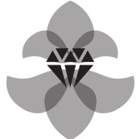 Diamond Spa logo - Similar company to Diamond Private Investiment Spa