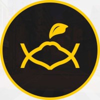Mato Brand logo - Similar company to We Do Digital