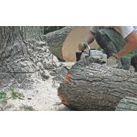 John's tree service