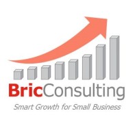 BricConsulting logo - Similar company to Data.Flowers
