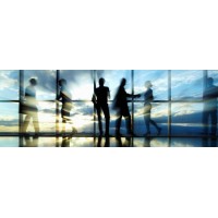 BlueSkies Consulting Limited logo - Similar company to Blacklight Business Solutions