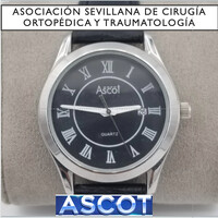 Asociacion Sevillana de Cirugia Ortopedica y Traumatologia logo - Similar company to Sociedad Española De Traumatología Del Deporte (Setrade)
