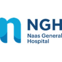 Naas Hospital logo - Similar company to Stpatricksday