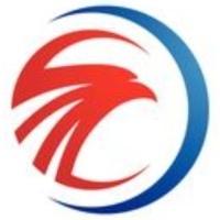 City Logistics Ghana Ltd logo - Similar company to Logistics Direct