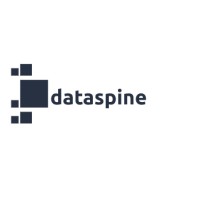 Dataspine logo - Similar company to Garnet