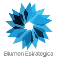 Blumen Estrategica logo - Similar company to Cfo 500
