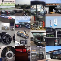 Automotivepleinoss
