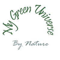 My Green Universe / FIRST T&B BV logo - Similar company to Taota Ltd