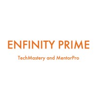 Enfinity Solutions Group logo - Similar company to Quanolytics