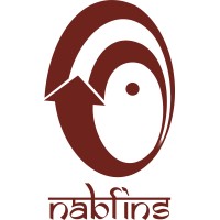 NABFINS LTD logo - Similar company to Nabfoundation