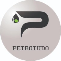 Petrotudo logo - Similar company to Ypetro
