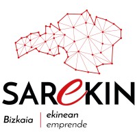 Sarekin logo - Similar company to Asett
