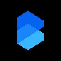 BDNEX Global logo - Similar company to N3Xus Global - Opportunities In The Netherlands