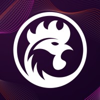 Galosoft CRYPTO logo - Similar company to Precise Holding A.S.