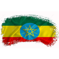 Ethiopian Mini-Grid information platform logo - Similar company to Motion Animator