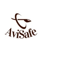 Avisafe- Aviation Consultants logo - Similar company to Nabafat.Ai