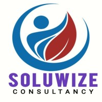 Soluwize Consultancy logo - Similar company to Vision Verification