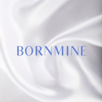 Bornmine logo - Similar company to One Diamond Electronics Inc.