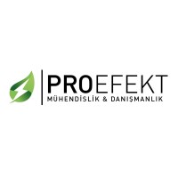 PROEFEKT MÜHENDİSLİK DANIŞMANLIK SAN. VE TİC. LTD. ŞTİ. logo - Similar company to Flowcal Kalibrasyon Ve Test Hizmetleri Sanayi Ve Ticaret Limited Şirketi