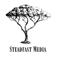 Steadfast Media logo - Similar company to Steadfast Media - Consulting