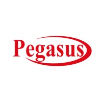 Pegasus International computer Co - Kuwait logo - Similar company to Pingaksh Technologies
