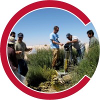 Cornell Earth and Atmospheric Sciences logo - Similar company to Uc Davis Earth And Planetary Sciences