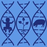 Biology MDPI logo - Similar company to Microorganisms Mdpi