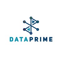 Data Prime logo - Similar company to Data Prime