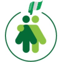 Nigerian Professional Group Inc. logo - Similar company to Rsm Eastern Massachusetts