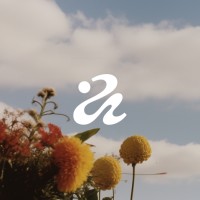 Isle of Any logo - Similar company to Fair Warning