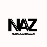 Naz Ambalaj ve Hırdavat logo - Similar company to Vakineva Box & Bag