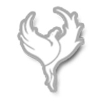 SYZYGY Advertising logo - Similar company to Intellisign Web Advancements