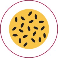 PassionAd Social logo - Similar company to Muslimgiving