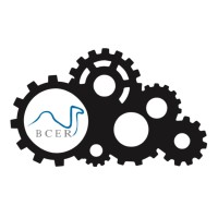 BLUE CAMEL ER logo - Similar company to Alfa Creative Plus