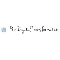 Pro Digital Transformation logo - Similar company to Savan M. Pujara & Co.