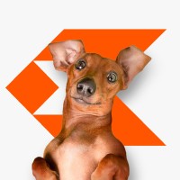 Cofap Oficial logo - Similar company to Driveway Indústria Brasileira De Auto Peças Ltda