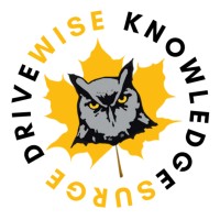 KnowledgeSurge Institute