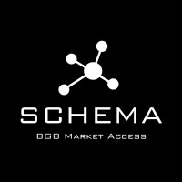 SCHEMA | BGB Market Access logo - Similar company to Eversana Engage