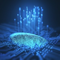 Westcoast Fingerprints & background check logo - Similar company to Order Your Background Check