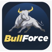 BULLFORCE logo - Similar company to Coders & Consultants