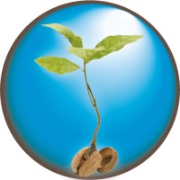 The Company of Holistic Returns logo - Similar company to Easynet Connect
