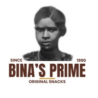 Binas Prime Enterprise logo - Similar company to Linkanalytics Research