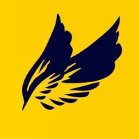 ASAS Linhas Aéreas Oficial logo - Similar company to Mirall